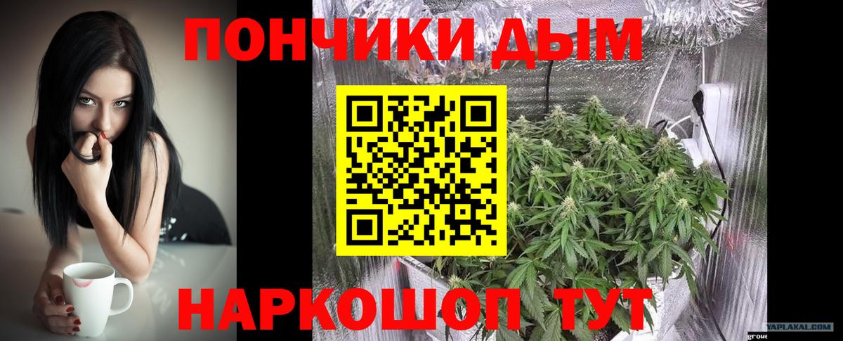 Кольчугино  Шишки марихуана конопля  Конопля White Widow  Конопля марихуана  Вход с VPN 